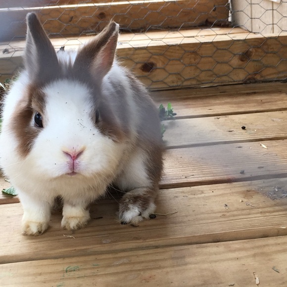 Hop on in for Added Discounts! - Picture 11 of 16